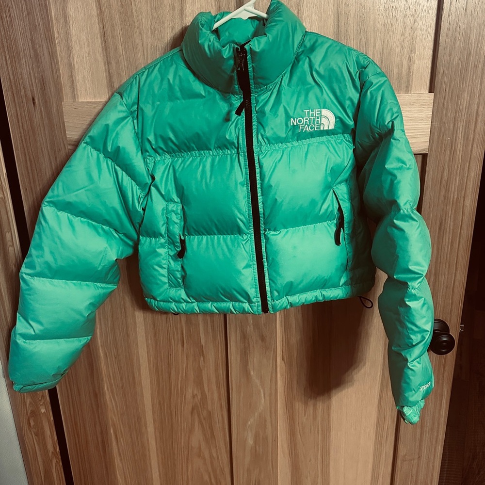The North Face Cropped Nuptse Jacket 'Chlorophyll Green' size Small cropped - Picture 3 of 11